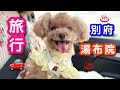 別府・湯布院の犬連れ旅行!~お前を地獄に連れて行く編~【トイプードルのコロン】