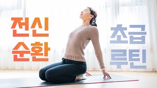 하루 두 번🧘🏻‍♀️꼭 해야하는 25분 전신순환 스트레칭 Ep.12 - 초급 - 피로회복, 림프순환, 심신안정, 독소제거 (Whole body stretch)