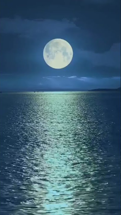 Rauf & Faik - Lela Lela Lela Lyrics /Can't Buy Me Loving /(English lyric) New English whatsapp