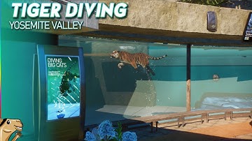 Siberian Tiger Underwater Viewing - Planet Zoo Speedbuild - Yosemite Valley 2.0
