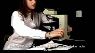 pasos a seguir para el correcto uso del microscopio óptico