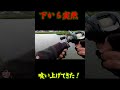 下から突然・・・喰い上げてきた！！！【興奮映像】#shorts