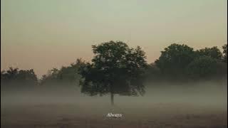 sød ven - carry me home (reimagined)