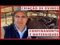 CRIAÇÃO de OVINOS - CONFINAMENTO e MATERNIDADE