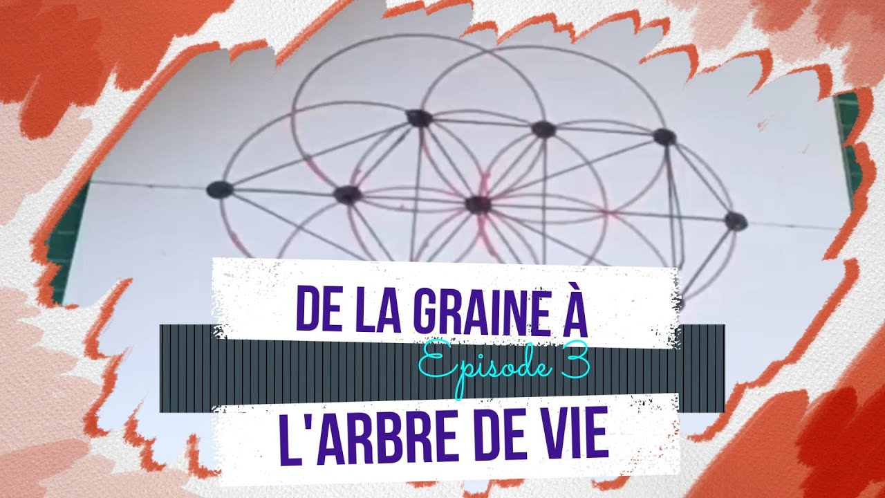 De la Graine à l'Arbre de Vie - épisode 3 - Tuto dessiner un arbre de