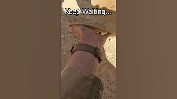 How many fossils?😱🦖#fossils #dinosaur #shorts