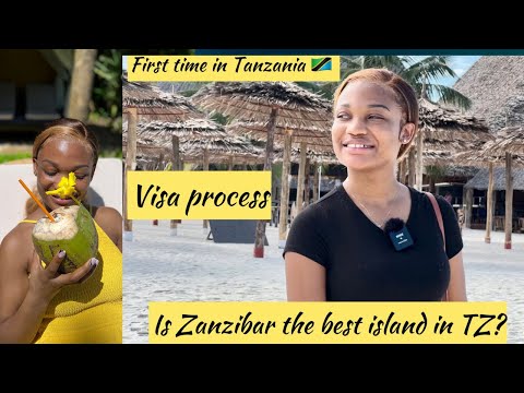 FIRST IMPRESSION ABOUT TANZANIA | VISA APPLICATION | BEST TIME TO VISIT