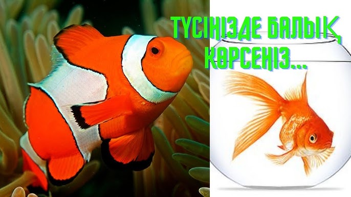 Ежелгі Римдегі порно оргия Татуировкасы бар әйелі ас үйде күйеуімен порно