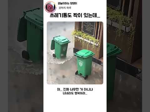 쓰레기통도 짝이 있는데 나만 없는 폭우 속 참사 ☔️ #shorts #trashcan #rain thumbnail
