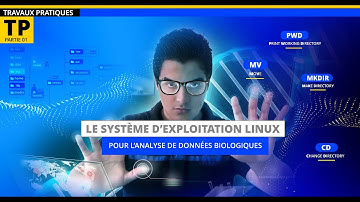 Linux pour la bioinfo (Exo 1) fichiers et dossiers