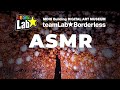 teamLab Borderless Tokyo ASMR FULL WALKTHROUGH
