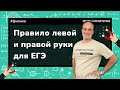 Магнитное поле, правило левой и правой руки, силы Ампера и Лоренца. ЕГЭ по физике 2024