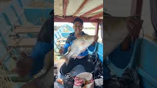 mancing mania mantap #fishing #mancing