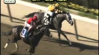 Thoroughbred Week (May 4 2013)