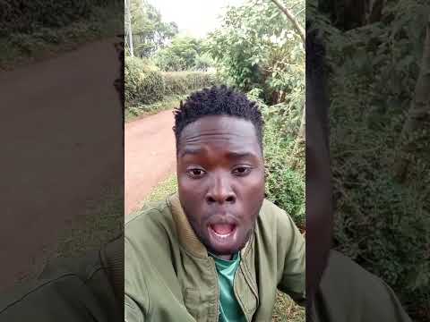 Zuchu Ovidiuscomedy Duet 