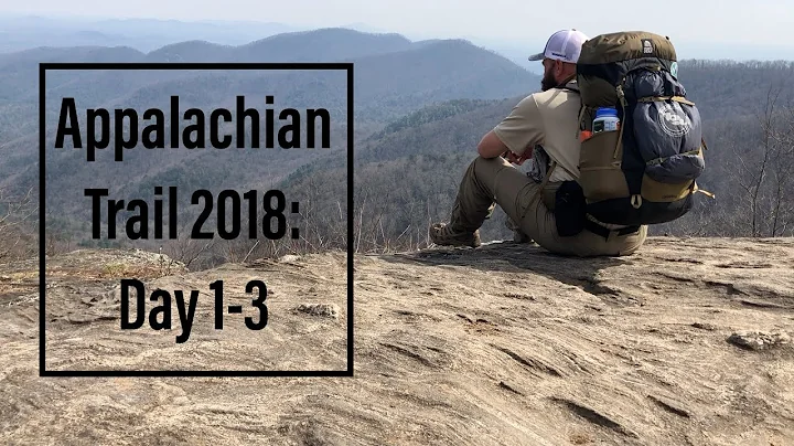Appalachian Trail 2018: Days 1-3, Springer Mountain to Neels Gap