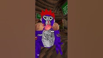 PART TWO OF REPLYING TO YOUR COMMENTS #gorillatag #quest2 #ChanceVr