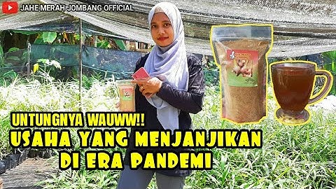 Proses Lengkap Pembuatan Jahe Merah Instant||Jahe Merah Jombang
