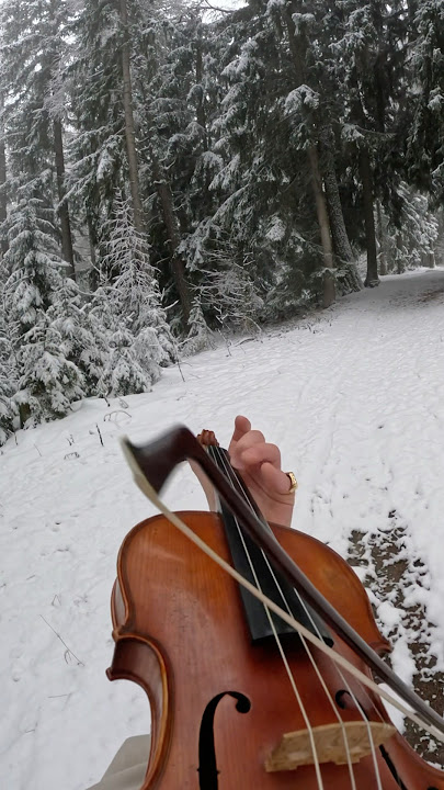Carol of the bells 🔔 babyyyy #violin #snow #winter #mountains #music