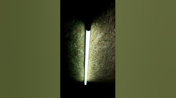 36W fluorescent lamp turning on. #shorts