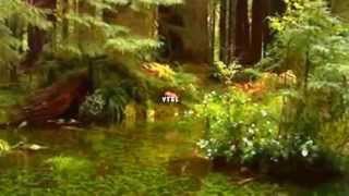 Michael Dulin Prelude Michael Dulin Prelude
