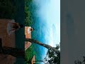 Survival in Valley #camping