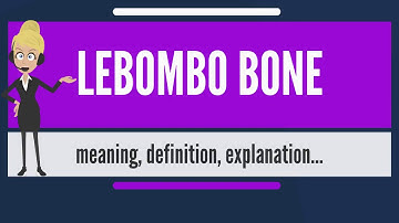 LEBOMBO BONE. #LEBOMBOBONE#BEGINGOFMATHEMATICSINTHEWORLD#HOWDOESLEBOMBOBONELOOK?