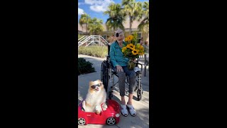 Koda Brings Flowers To Laura (She's 100 years old!)