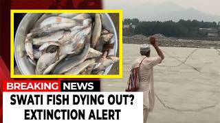 Rare Swati Fish Faces Extinction Threat | Conservation Alarm Grows | Express247