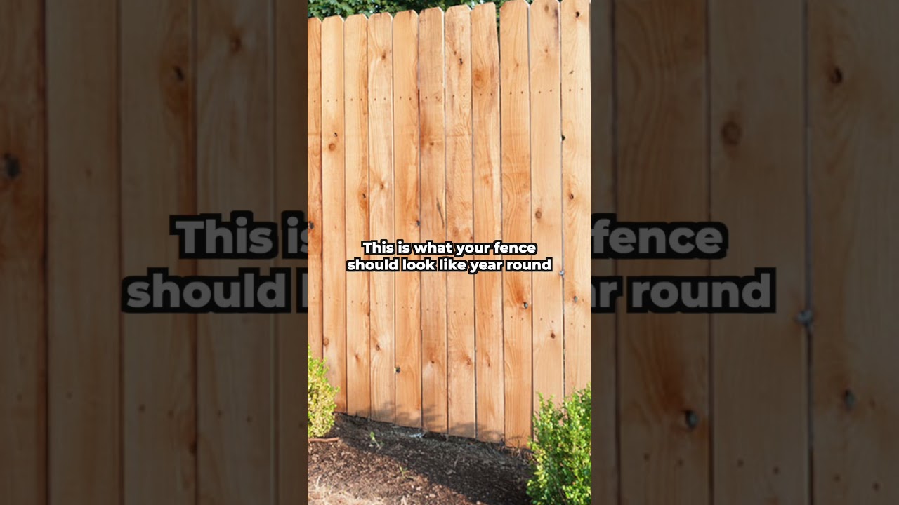 Protect your wood fence from water damage