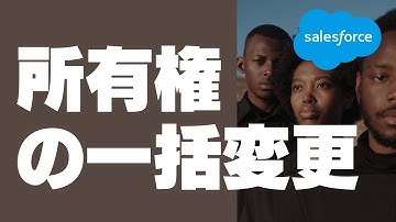 Salesforce 所有権の一括変更