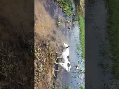 ك ل ن ف س ذ آئ ق ة ال م و ت  100    100 7