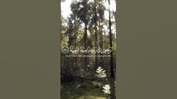 يَا أَيَّتُهَا النَّفْسُ الْمُطْمَئِنَّةُ #سوره الفجر ايه27