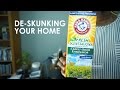 How To Get Rid Of Skunk Smell In House