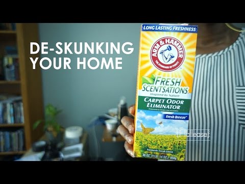 How To Remove Skunk Smell From Your Home