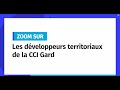 Rencontre avec les dveloppeurs territoriaux de la cci gard