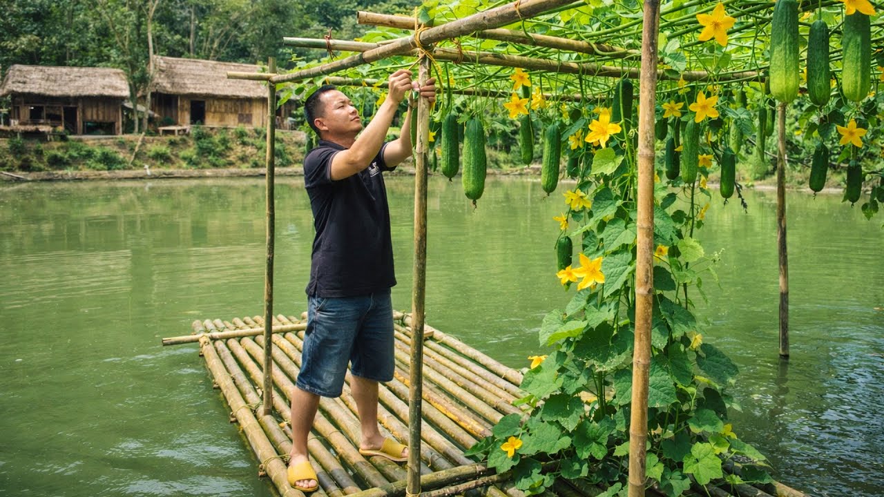 Man Decorates New Kitchen with DIY Bamboo Curtains & Upgrades The Floating Gourd Trellis
