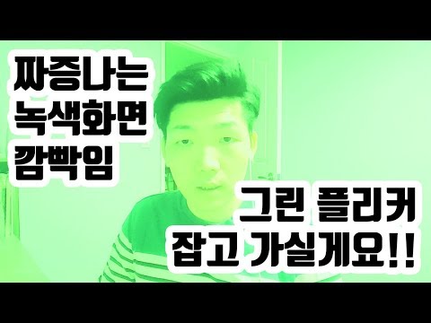 초록색 화면이 깜빡이는 현상!! 그린 플리커