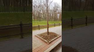 #russia_vlogs || Sohi13 || #Rusaia_hindi_vlogs #saintpetersburgrussia
