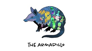 The Armadillo /// The Odd Kids (official lyric video)