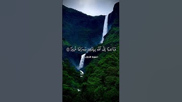أرح سمعك وقلبك تلاوة خاشعة لآيات من سورة الأحزاب بصوت أبي المنتصر العشارة حفظه