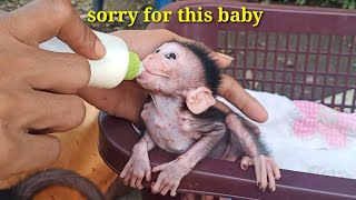 Drastic changes to baby monkey with redspots and sore back