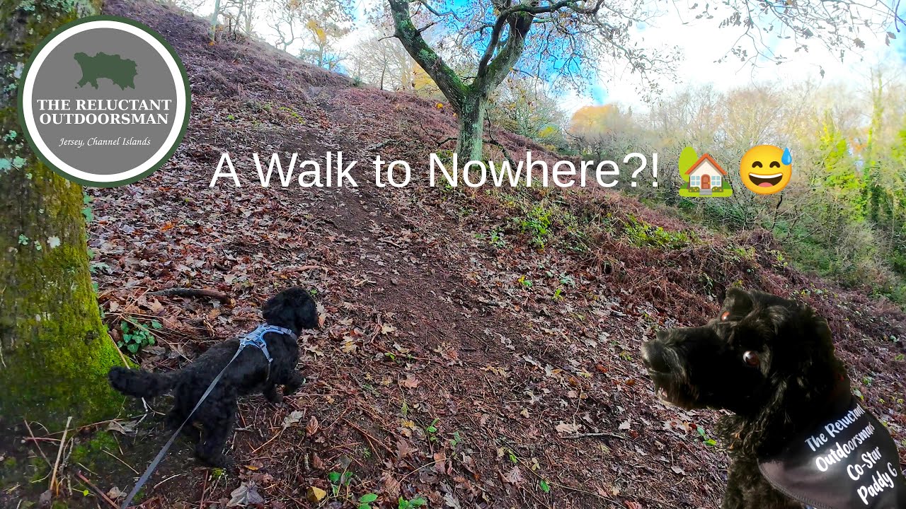 Безумная прогулка в никуда – Прогулка по скрытым уголкам 🏡