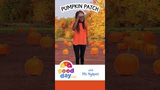 Explore the pumpkin patch with Ms. Nyapot! #toddler #baby #preschoollearning #halloween #fall