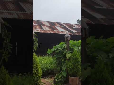 Video Quán ăn chay Thong Dong tại Vạn Thành Đà Lạt, gần hầm... - youtube
