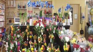 Florida Publix  Market flowers and plants / Shey pivnick/ Vlog # 137