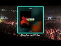 LYSSØ - Moyo (Original Mix) - #melodichouse #thesacredtribe