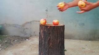 Crushing Crunchy & Soft Things by Hammer ! EXPERIMENT: Hammer vs Apply screenshot 3