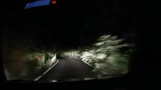 Forest road【Night Driving】