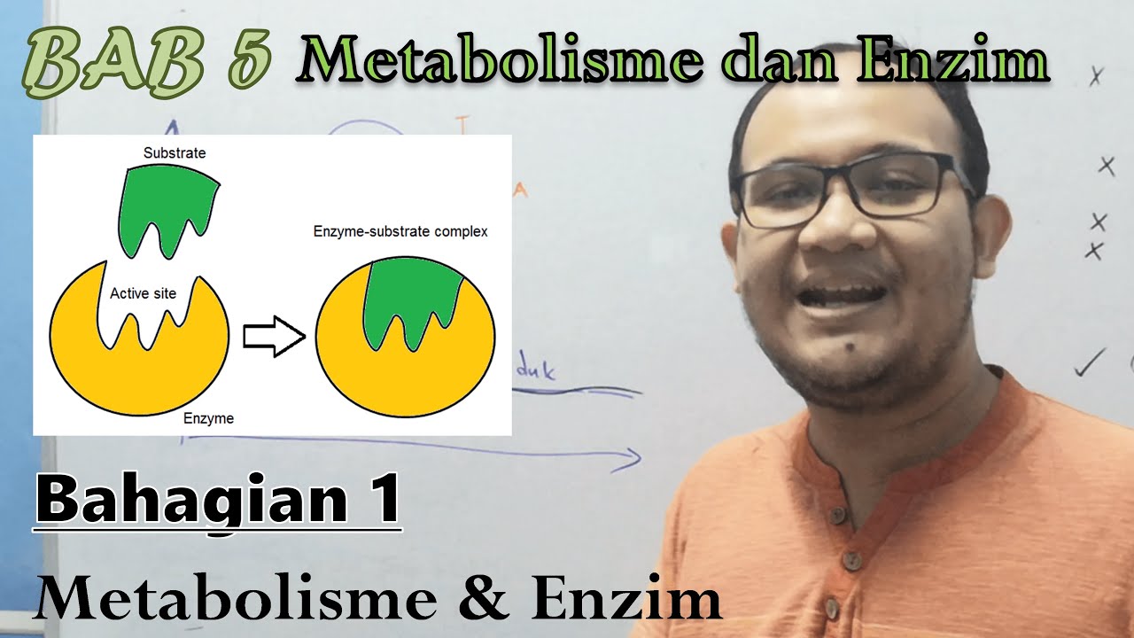 KSSM Bio Ting. 4  - Bab 5 - Metabolisme dan Enzim (Part 1)